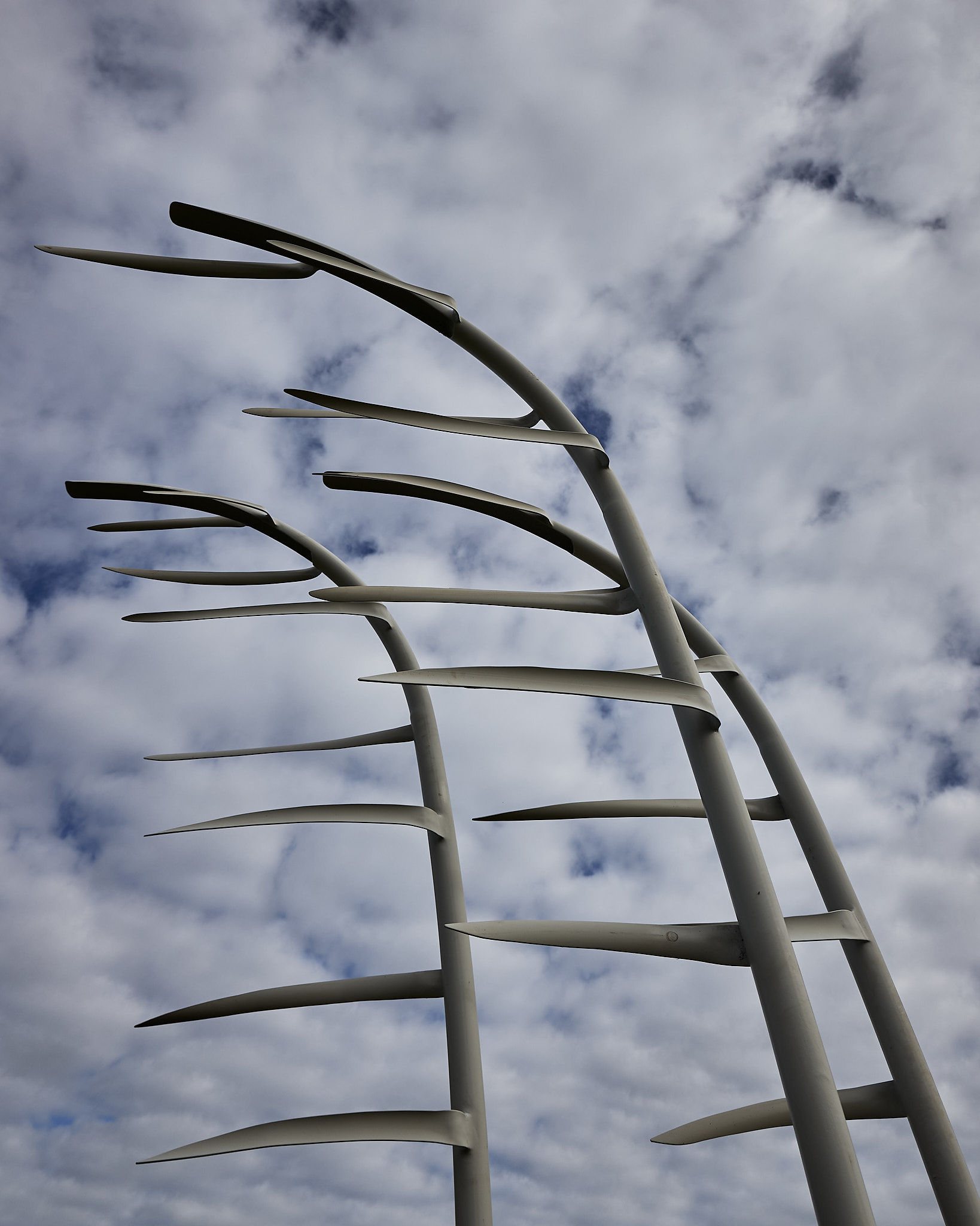 Nor-Wester-Web-L1150159