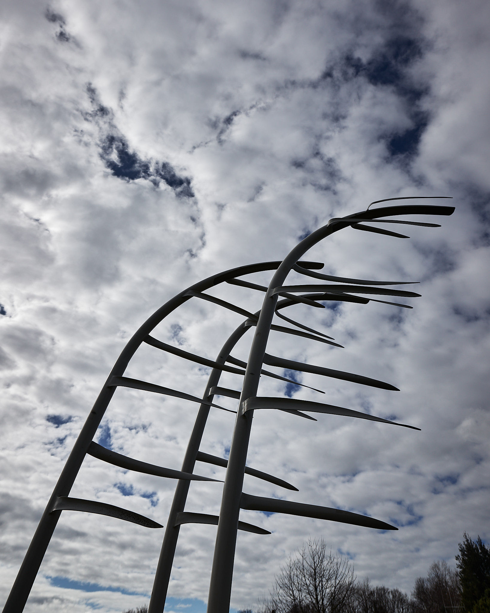 Nor-Wester-Web-L1150160