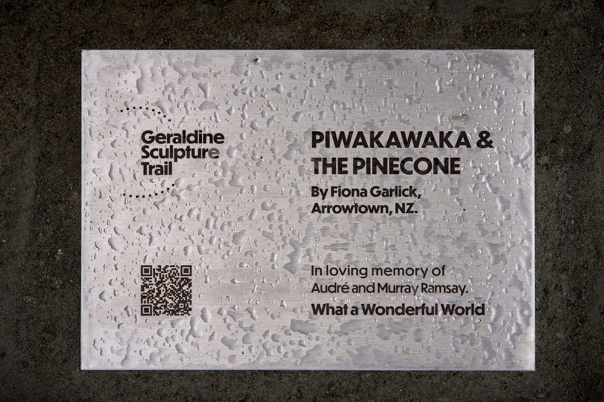 Piwakawaka-Pinecone-A7408498